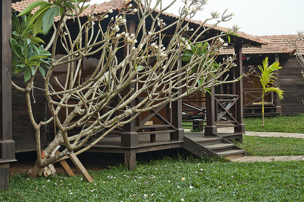 Ecowoods Village Spa & Yoga Retreat Morjim Exterior foto